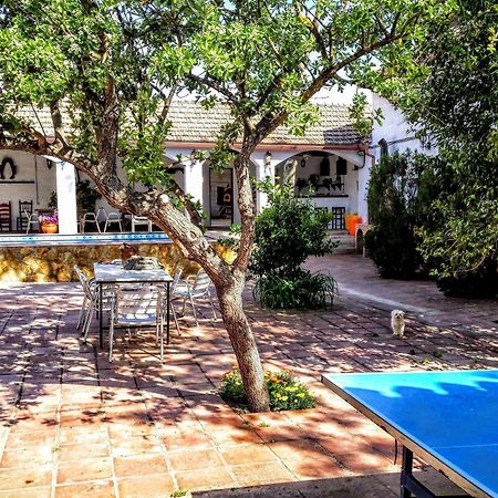 Alojamiento Rural El Cortijuelo Hotel Illora Ngoại thất bức ảnh